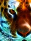 remorg - ait Kullan�c� Resmi (Avatar)